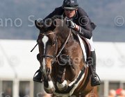 Alfonso Will Power TosTour2013- S5 2664 : Alfonso Antonio, Arezzo, Arezzo Equestrian Centre, Toscana Tour 2013, Will Rover, foto di Stefano Secchi ©